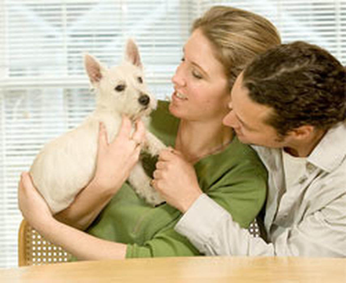 AdoptAPet Petland Columbus, GA